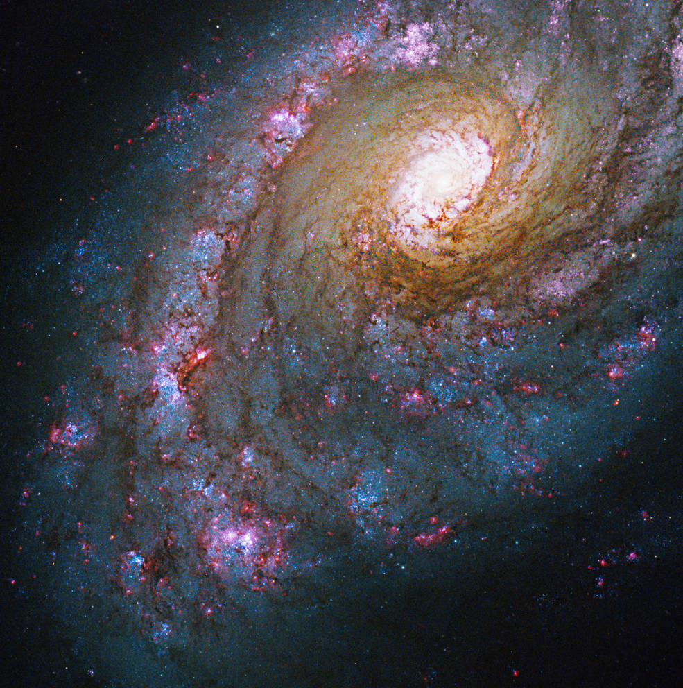 10 thrilling Hubble images released by NASA 32 – Hubble-images-Caldwell-45