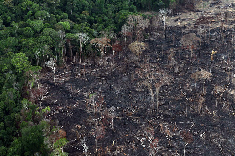Alert for Earth's lungs: Amazon rainforest will be evanished by 2064 27 – Amazon-rainforest-1