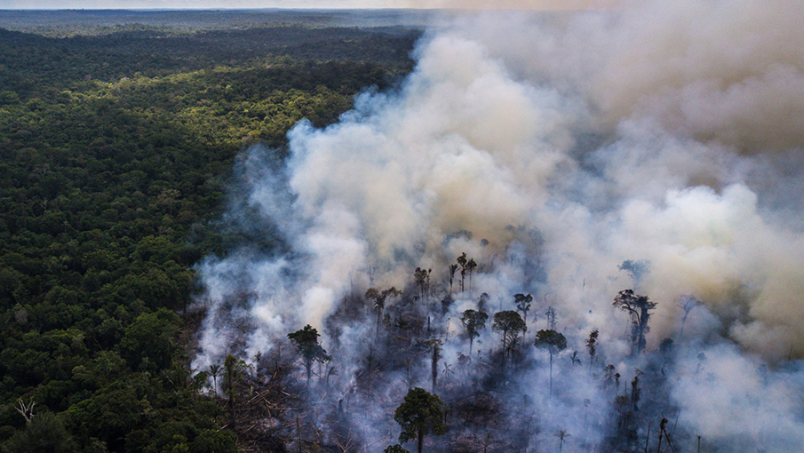 Alert for Earth's lungs: Amazon rainforest will be evanished by 2064 26 – amazon-rainforest-5
