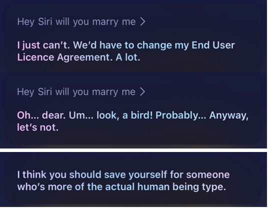 Hey Siri: 13 amusing answers Siri tells you on iPhone 27 – to-ask-siri-2