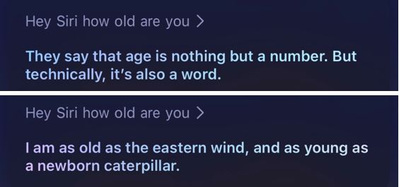 Hey Siri: 13 amusing answers Siri tells you on iPhone 33 – to-ask-siri-8