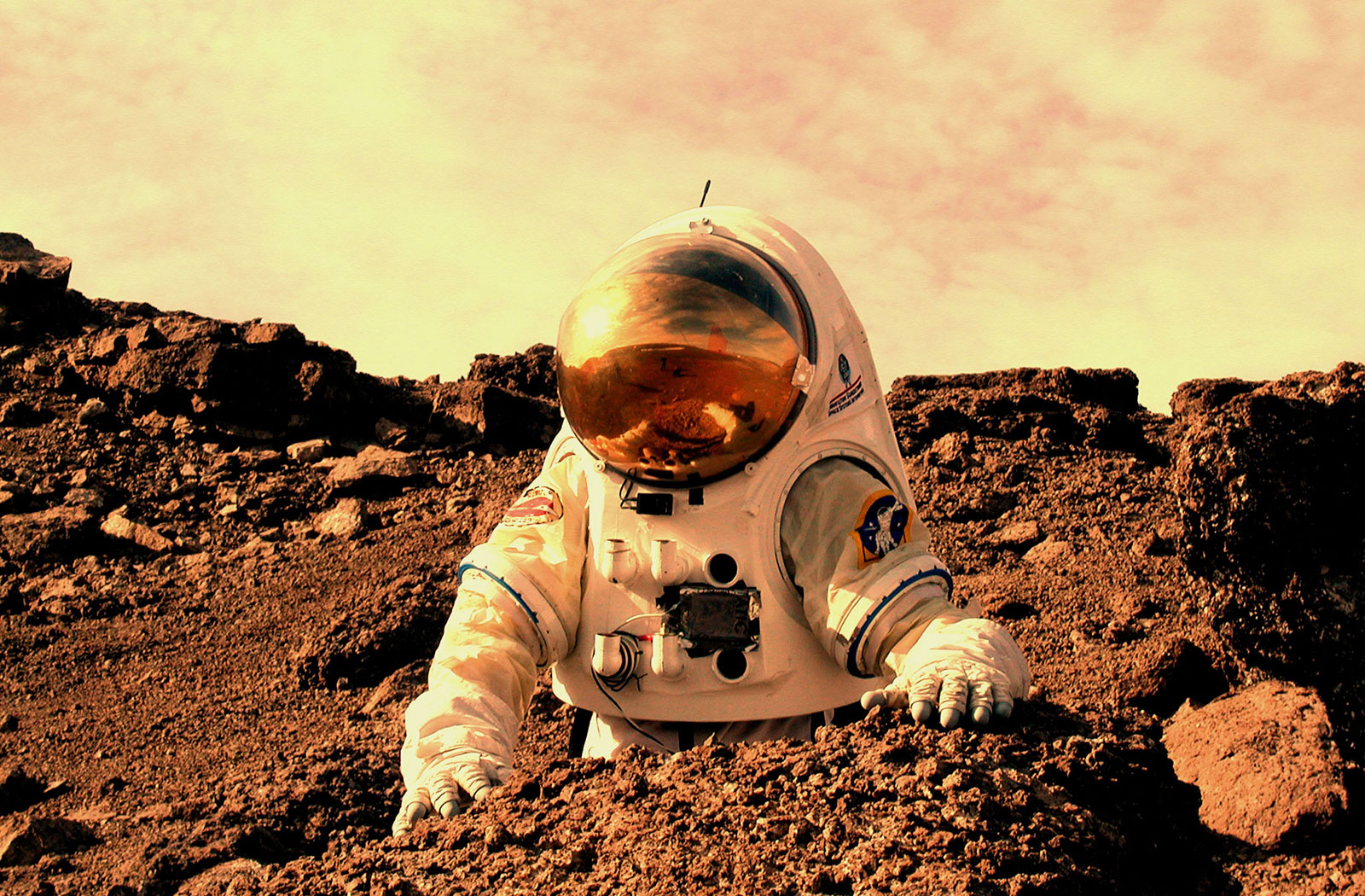 Reproduction-on-Mars-1