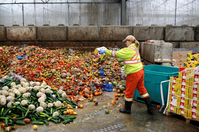 food-waste-2