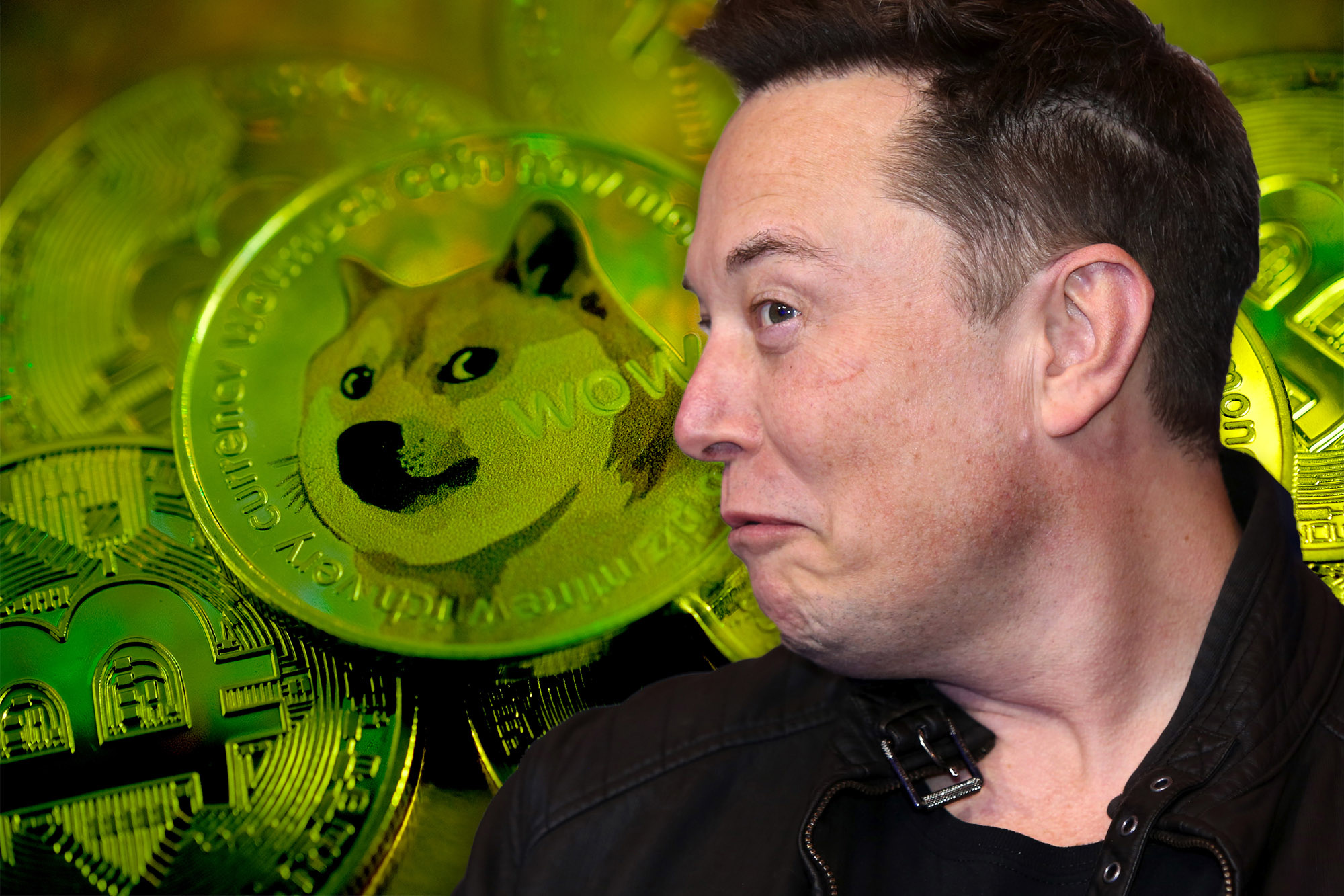elon-musk-doge-1