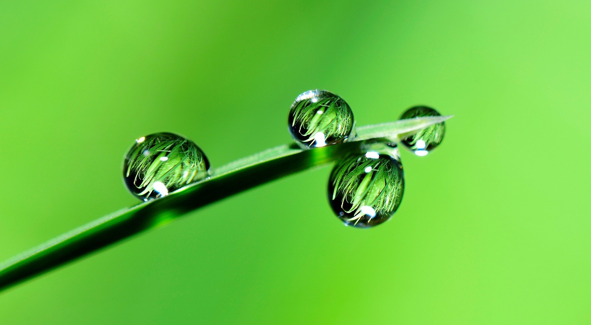 carbon capture 1
