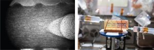 Biomanufacturing in Zero Gravity Can Be the New-Age Medicine: Thrilling Report 28 – Biomanufacturing 3
