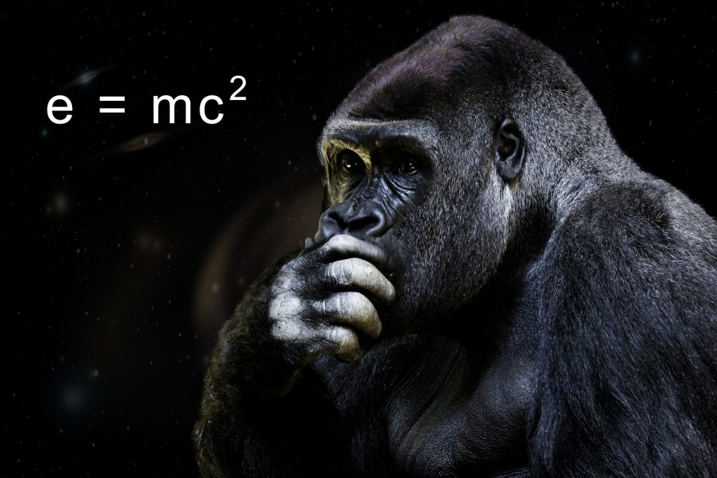 Gorilla Suit in Space: Hilarious ISS Birthday of 2016 Resurfaced on the Web 27 – gorilla 2