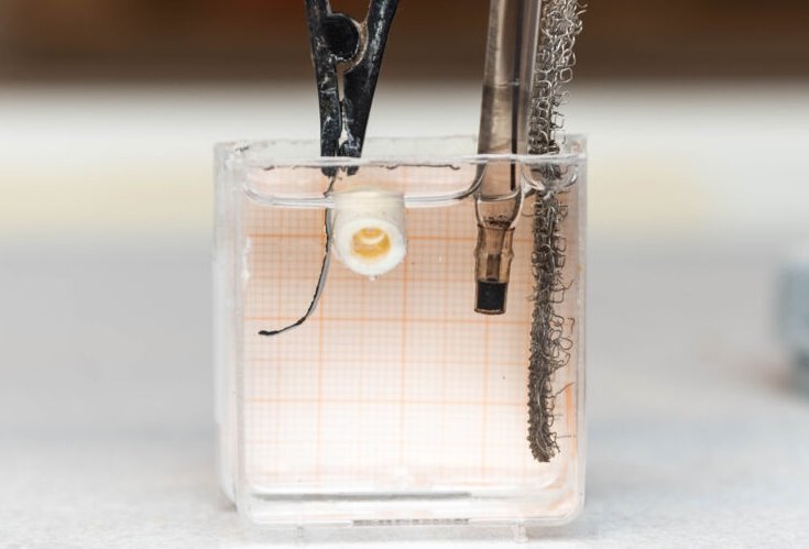 Morphing Polymer Technology: Bone-Growth Inspired Material Revealed 73 – polymer 1
