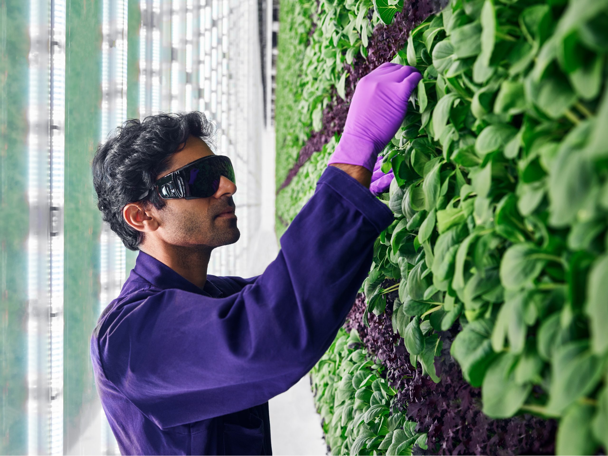 Walmart Invests in Futuristic Vertical Farming Startup 82 – vertical farm 1