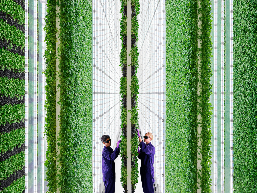 vertical farm 2
