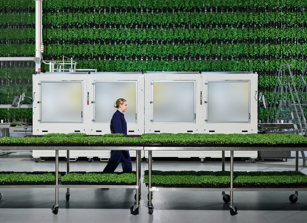 vertical farm 3
