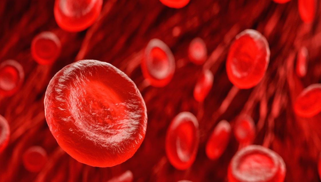 blood-cancer-1223