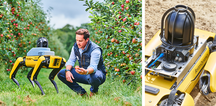 Spot the Robotic Dog Will Increase Crop Yield and Reduce Costs 28 – robocrop-project-32132