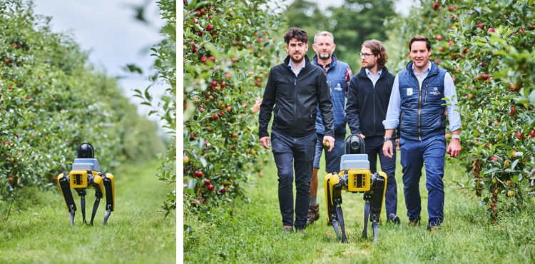 Spot the Robotic Dog Will Increase Crop Yield and Reduce Costs 27 – robocrop-project-564654