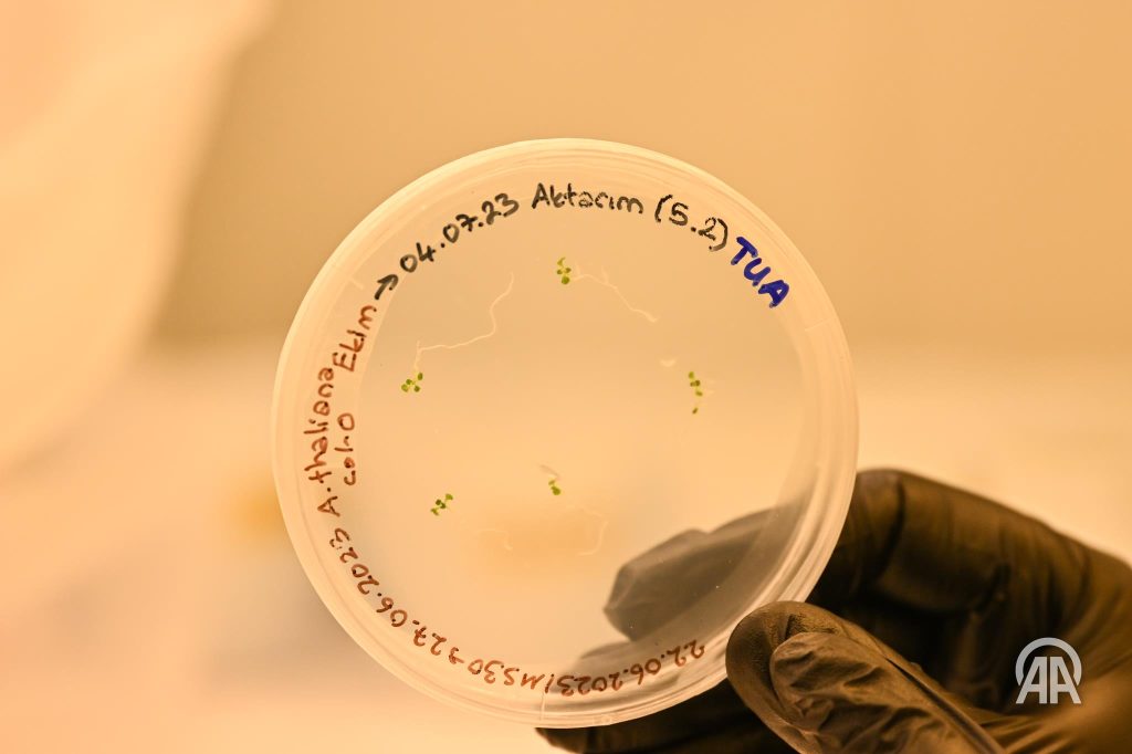 Scientists are gearing up for plant cultivation in space for a groundbreaking genetic investigation 27 – Scientists are gearing up for plant cultivation in space for a groundbreaking genetic investigation 16