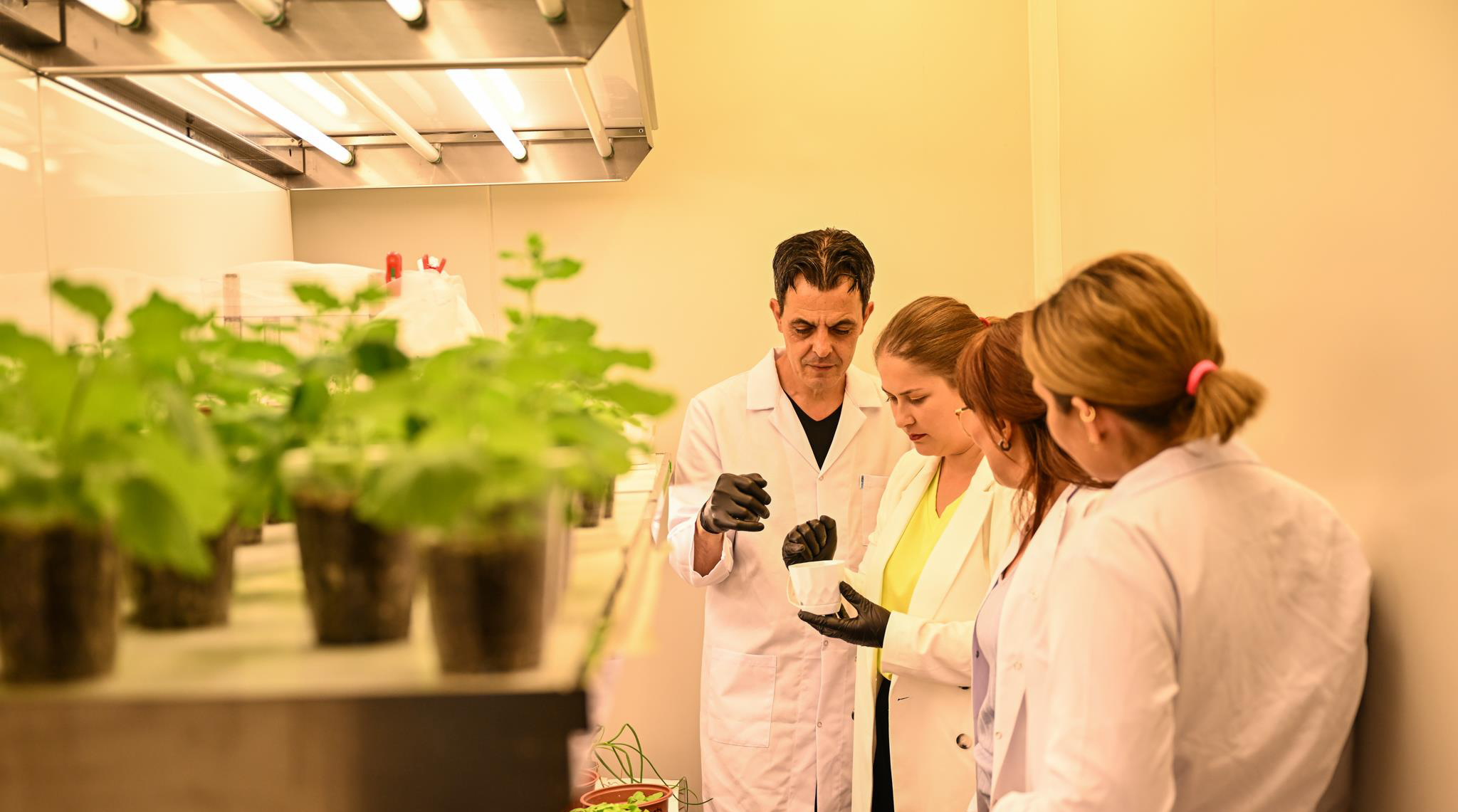 Scientists are gearing up for plant cultivation in space for a groundbreaking genetic investigation 4