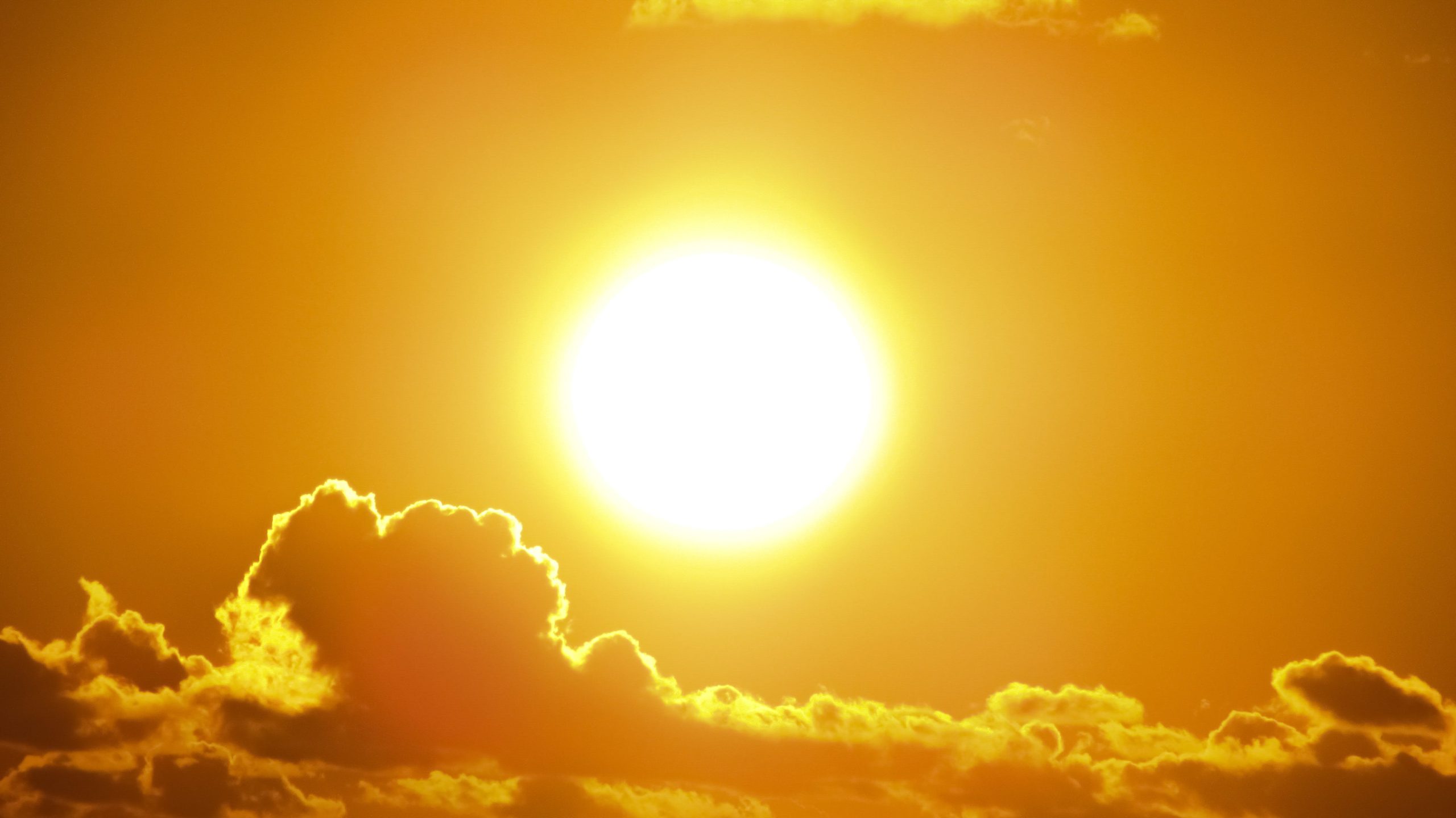 NASA study confirms 2023 as the hottest year ever recorded 13