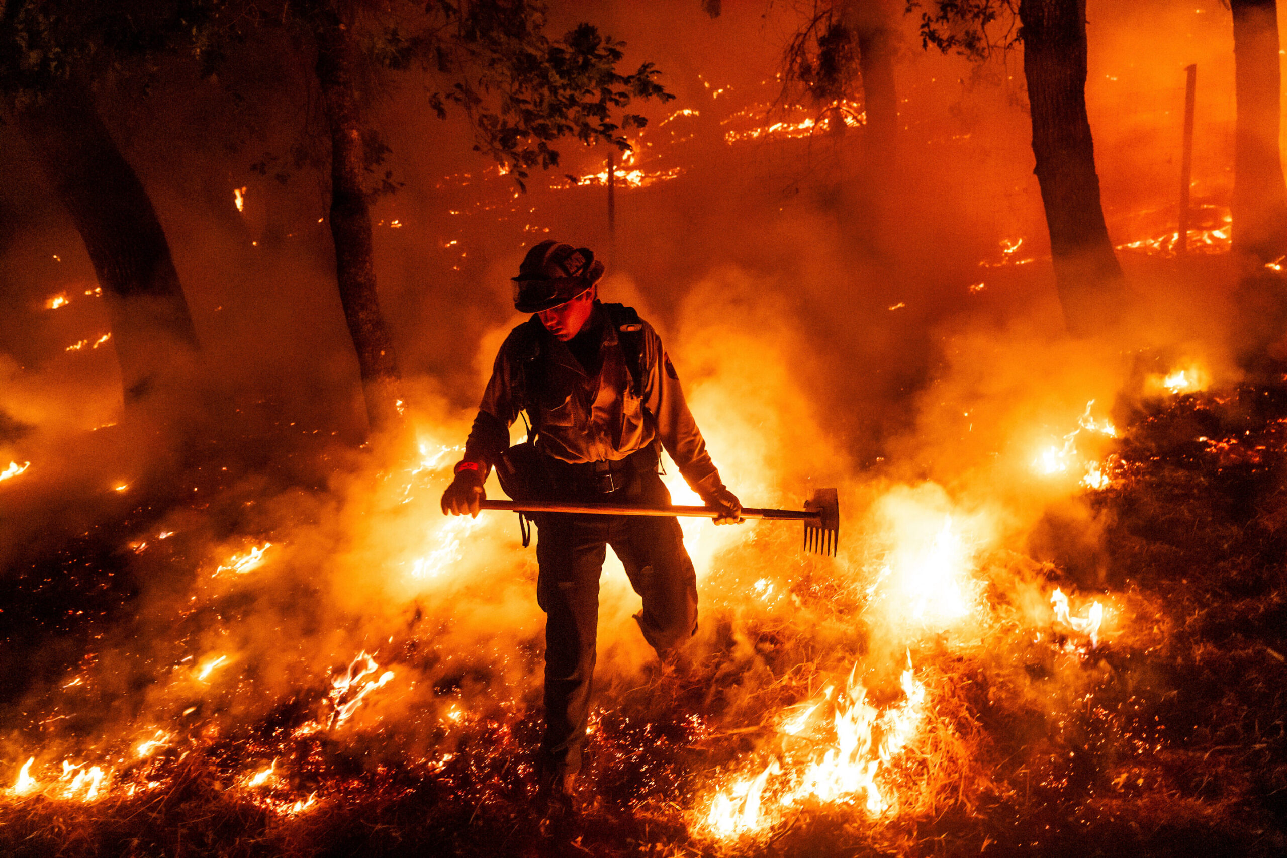North American wildfires intensify as climate change extends burning hours 14