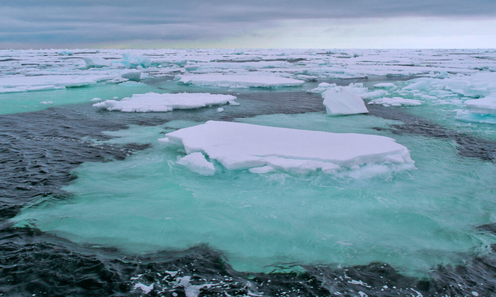Arctic sea ice loss