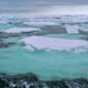 Arctic sea ice loss is unraveling marine food web 28 – Arctic sea ice loss