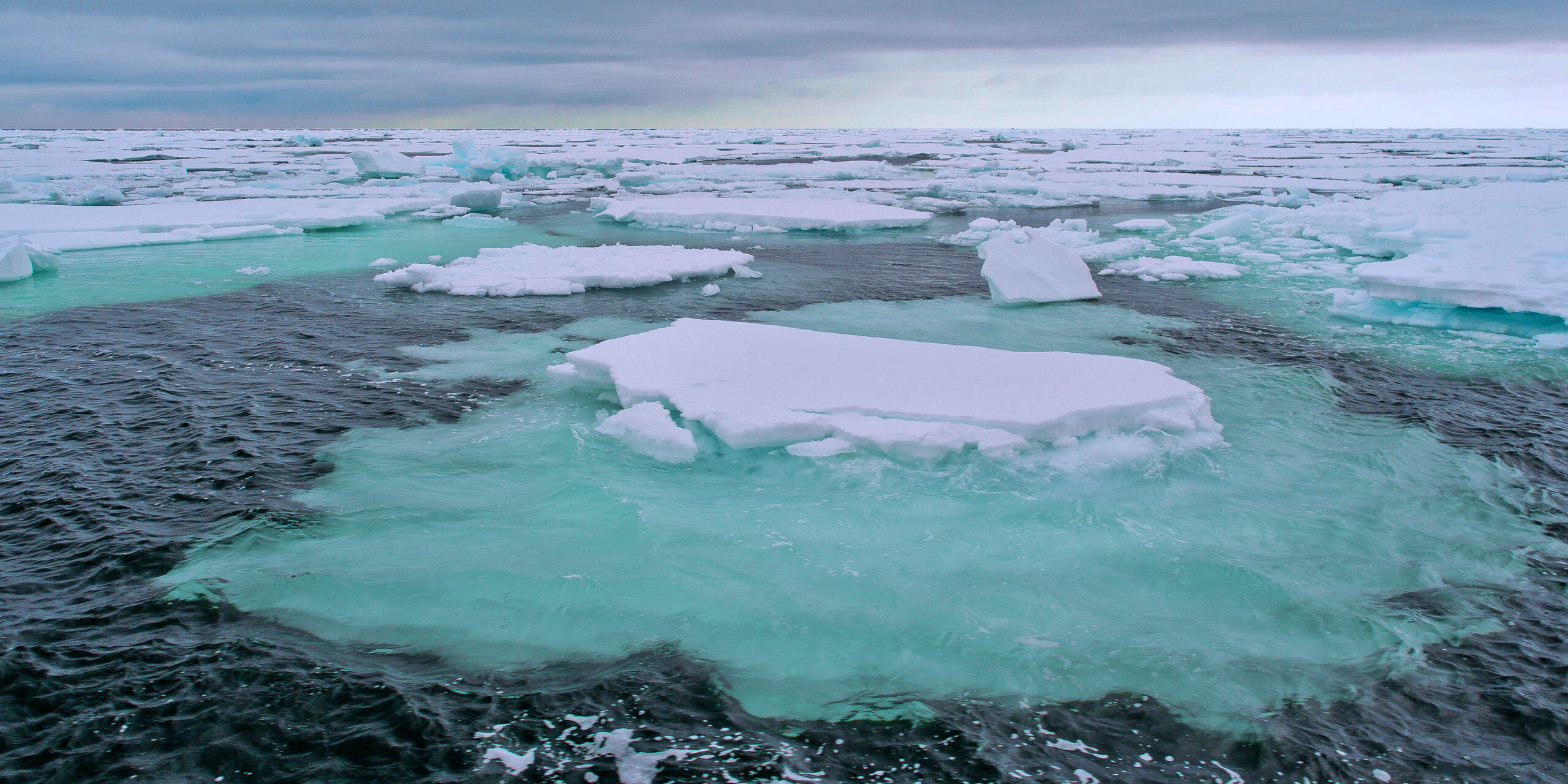 Arctic sea ice loss